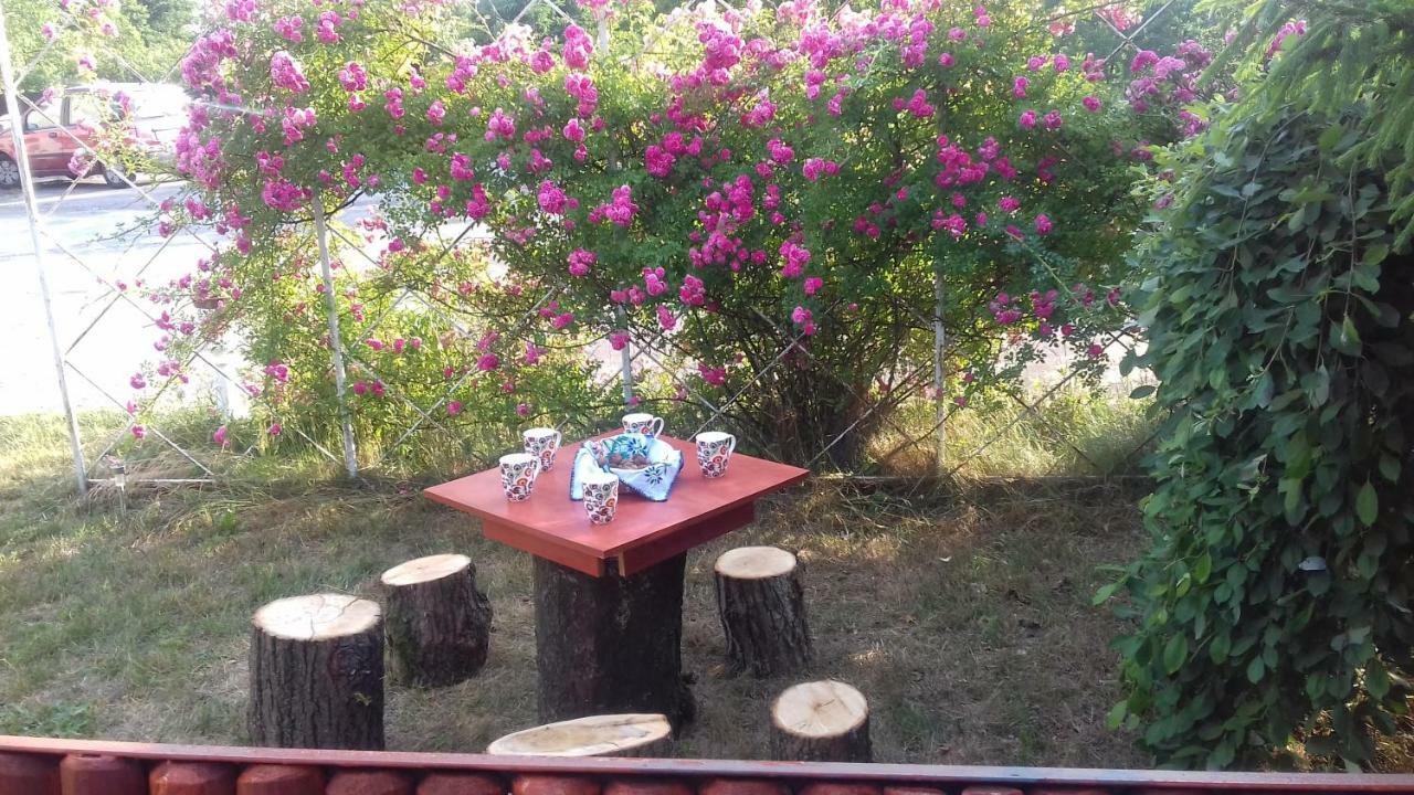 Dom Na Ludowo W Brzeznicy Apartment Brzeznica  Екстериор снимка